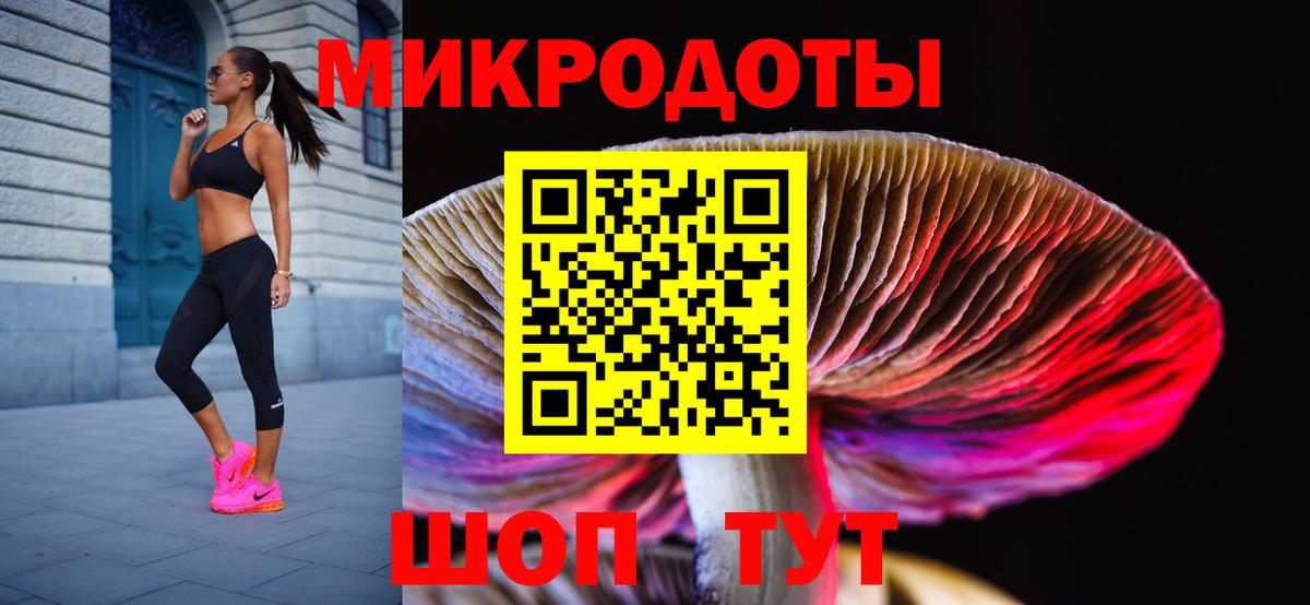 Зерноград  Галлюциногенные грибы Cubensis  Вход с VPN  Псилоцибиновые грибы GOLDEN TEACHER 